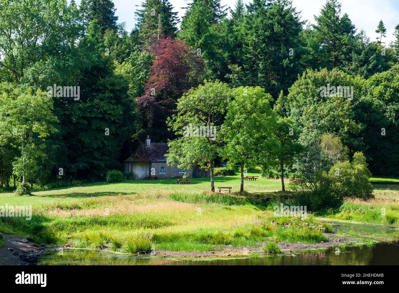 Louth Oughter nel Killykeen Forest Park durante l'estate, in Irlanda Foto Stock