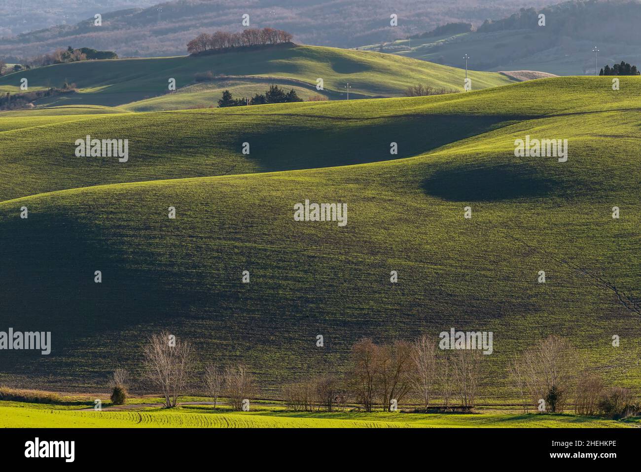Le verdi colline toscane nella stagione invernale, Lajatico, Pisa, Italia Foto Stock