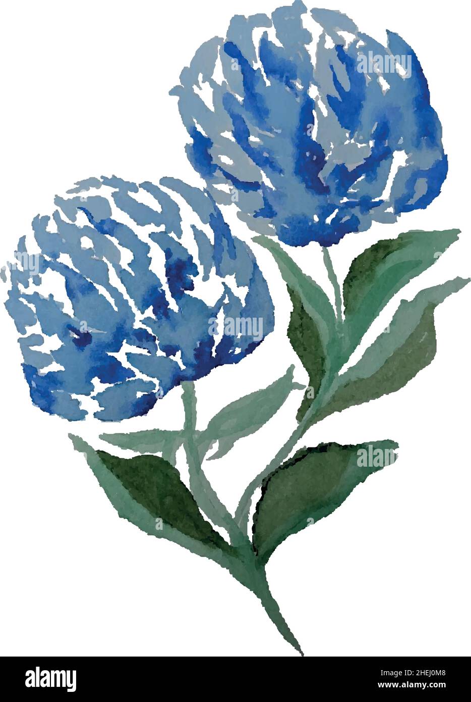 Blue Flowers Vector Watercolor Florals isolato su sfondo bianco Illustrazione Vettoriale