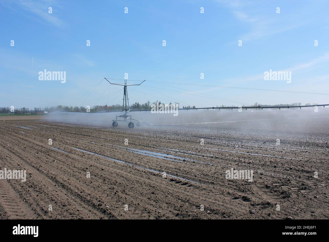 Sistema di irrigazione in funzione irrigazione piante agricole. Prevenzione della siccità. Impianto sprinkler. Foto Stock