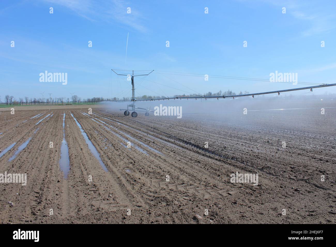 Sistema di irrigazione in funzione irrigazione piante agricole. Prevenzione della siccità. Impianto sprinkler. Foto Stock