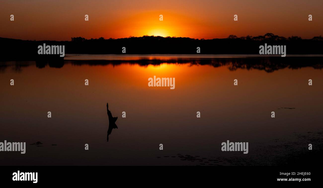 Bella ora d'oro Tramonto sull'acqua con piccoli uccelli in cornice in Africa. Foto Stock