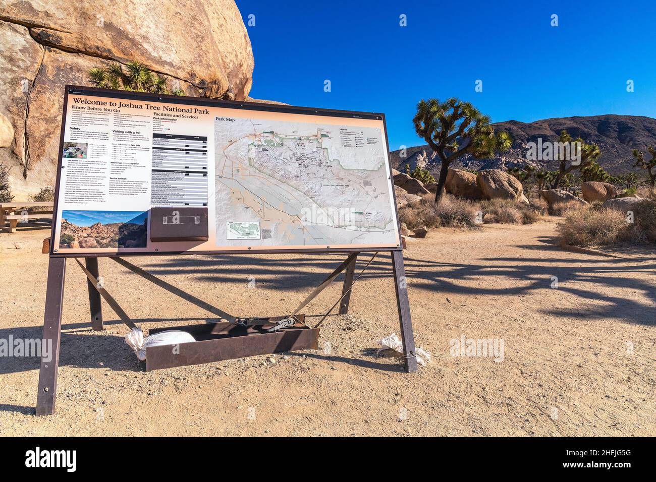 Contea di San Bernardino, CA, USA - 5 gennaio 2022: Percorso Cap Rock nel Joshua Tree National Park, San Bernardino County, California. Foto Stock