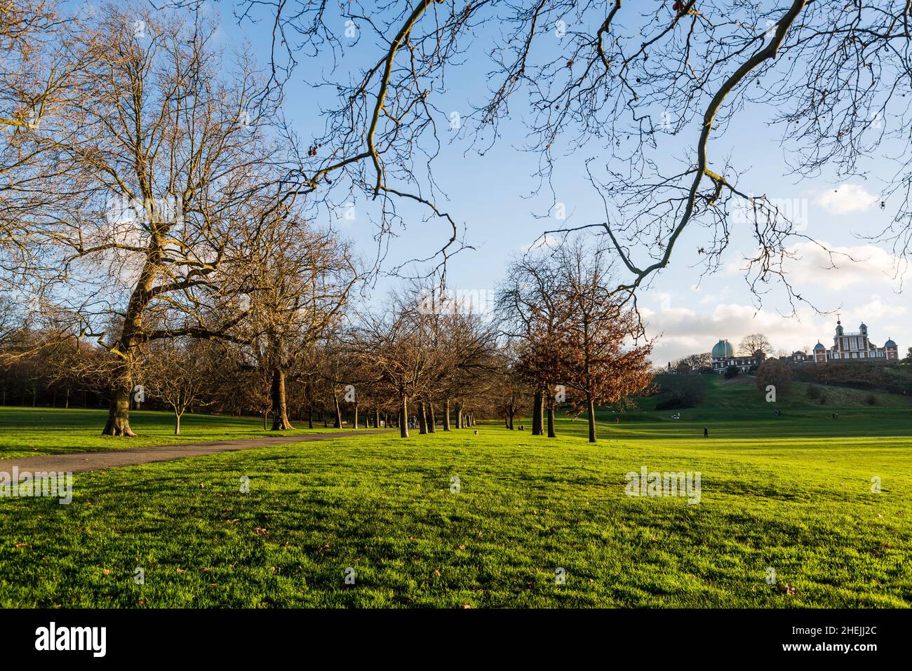 Greenwich Park, uno dei parchi reali di Londra, Inghilterra, Regno Unito Foto Stock