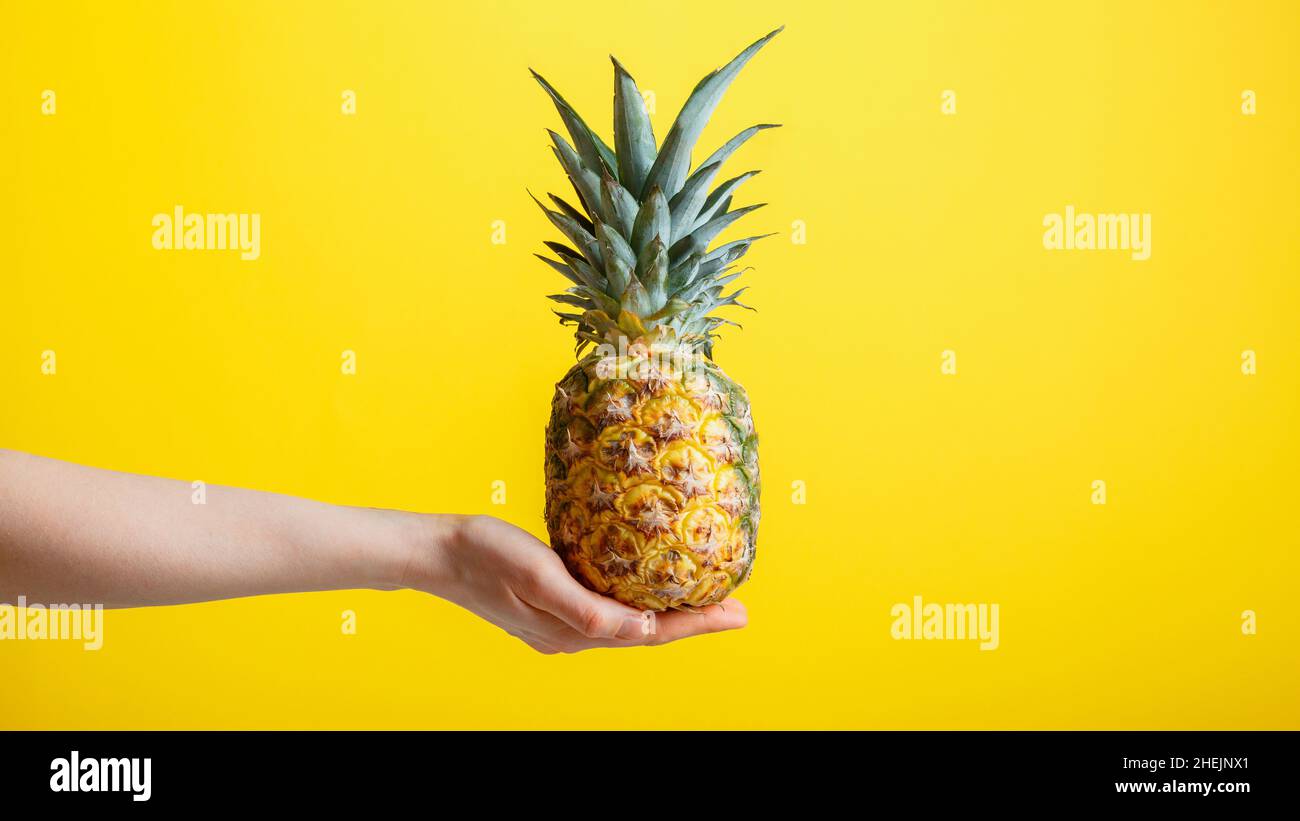 Ananas in mano femminile. Frutta tropica di ananas matura succosa isolata su sfondo giallo. Concetto estivo minimalista. Banner Web lungo con Foto Stock