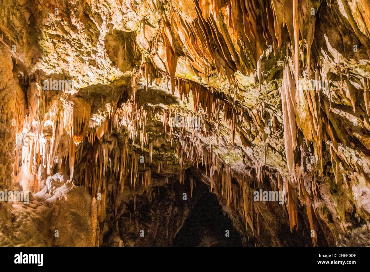 POSTOJNA, SLOVENIA - 17 MAGGIO 2019: Formazioni rocciose della grotta di Postojna, Slovenia Foto Stock