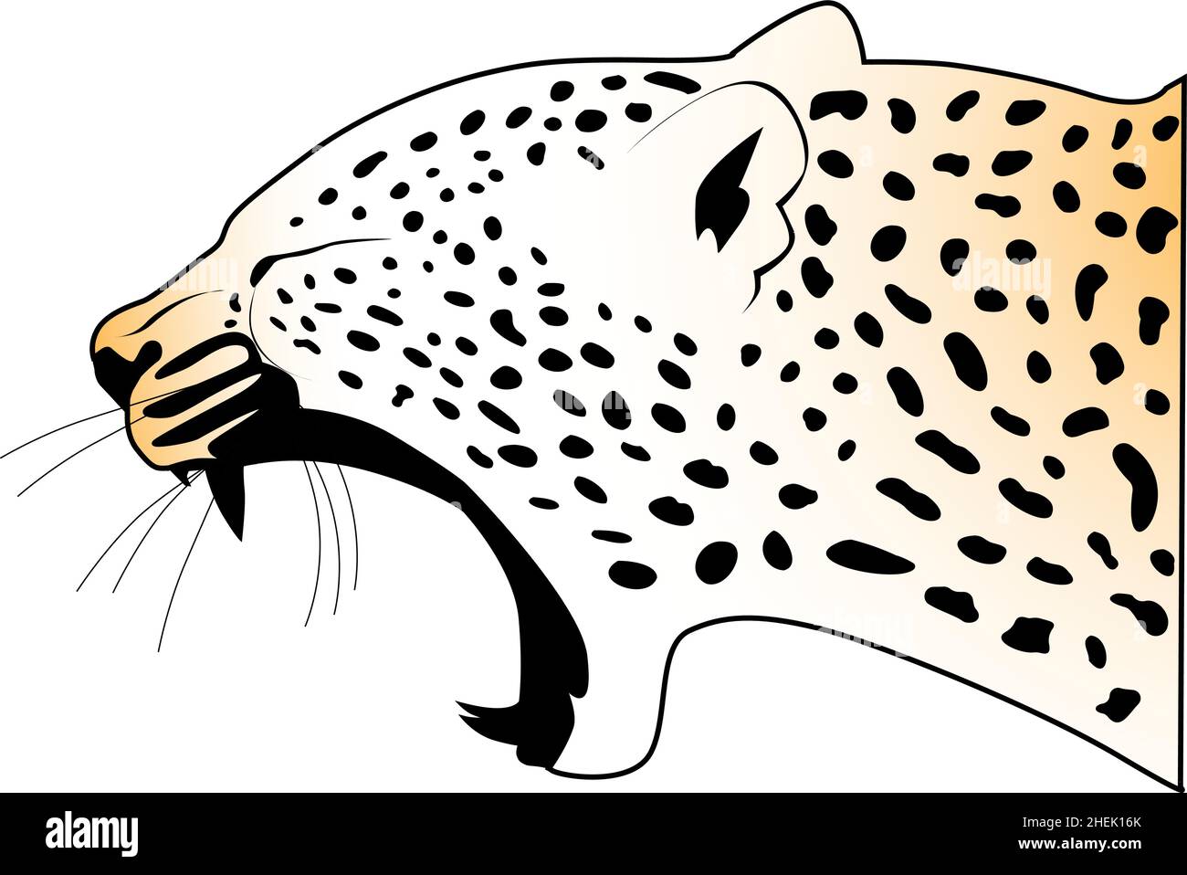 Arrabbiato aggressivo leopardo rugoso testa ritratto illustrazioni vettoriali Illustrazione Vettoriale
