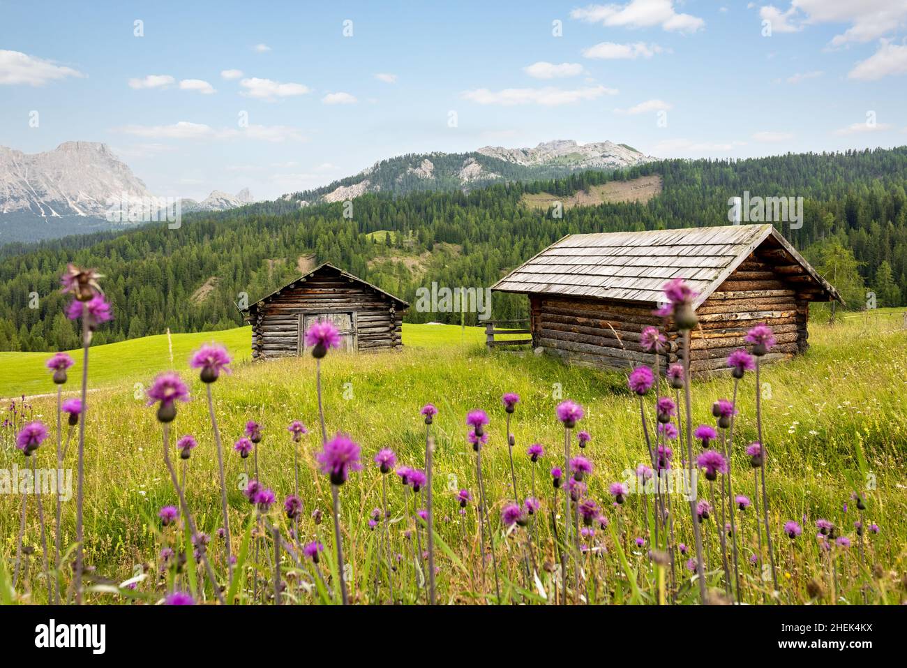 Piccole capanne in legno in un paesaggio tranquillo delle Alpi dolomitiche Foto Stock