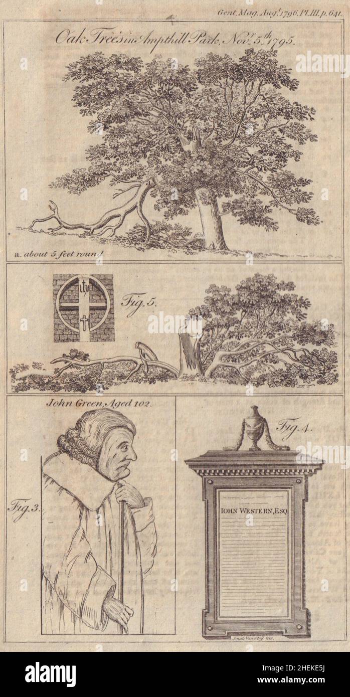 Vecchi alberi di quercia Ampthill Park, Letti. Ritratto di John Green of Wexford, Irlanda 1796 Foto Stock