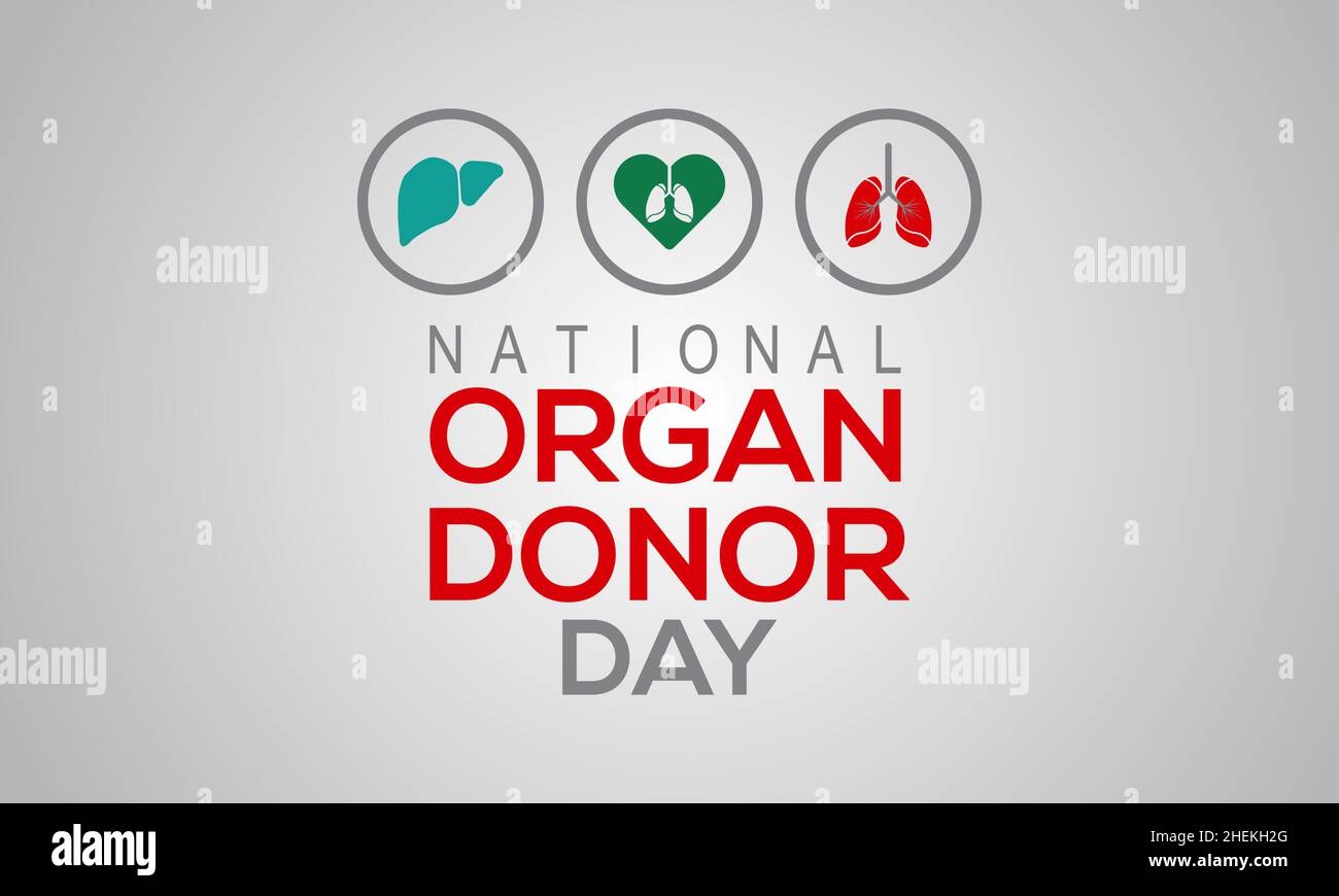 Giornata nazionale dei donatori di organi, febbraio 14. Modello vettoriale Design per banner, biglietti, poster, sfondo. Illustrazione Vettoriale