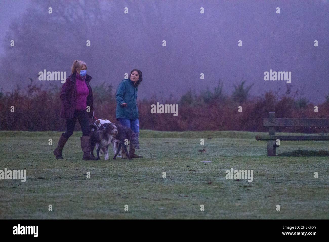 Godshill, New Forest, Hampshire, Regno Unito, 11th gennaio 2022: Il tempo torbido come pioggia pesante e nebbia persistono tutto il giorno e nel tardo pomeriggio. Due donne camminano i loro cani nell'oscurità. Credit: Paul Biggins/Alamy Live News Foto Stock