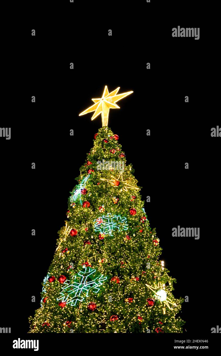 Grande abete di Natale con grande stella, ornamento palla rossa e scintillante illuminazione di notte. Natale e Capodanno Foto Stock