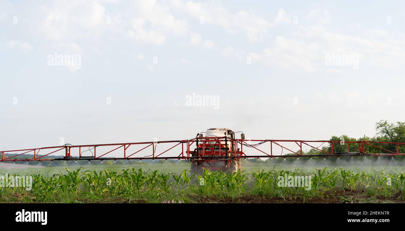 Il trattore irroratrice concima campi con erbicidi insetticidi in agricoltura su piantagioni agricole. Coltivazione del suolo e annaffiatura da una macchina Foto Stock