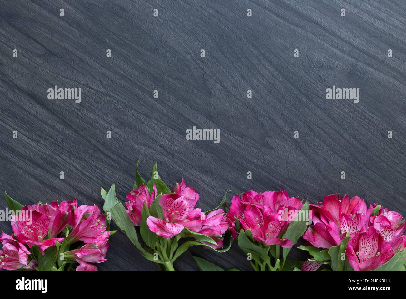 Bordo di fiori di alstroemeria su sfondo di legno scuro con spazio copia Foto Stock
