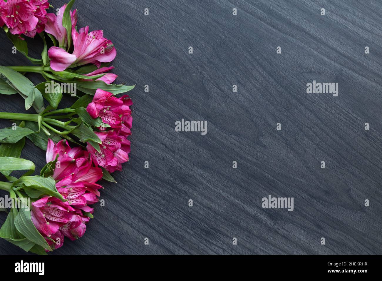 Bordo di fiori di alstroemeria su sfondo di legno scuro con spazio copia Foto Stock