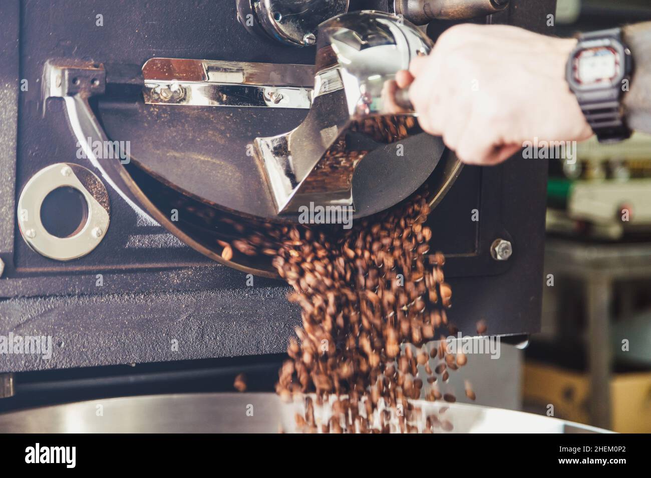 Uomo che apre il portello dei tostatori e i chicchi di caffè che cadono dalla macchina roadery Foto Stock