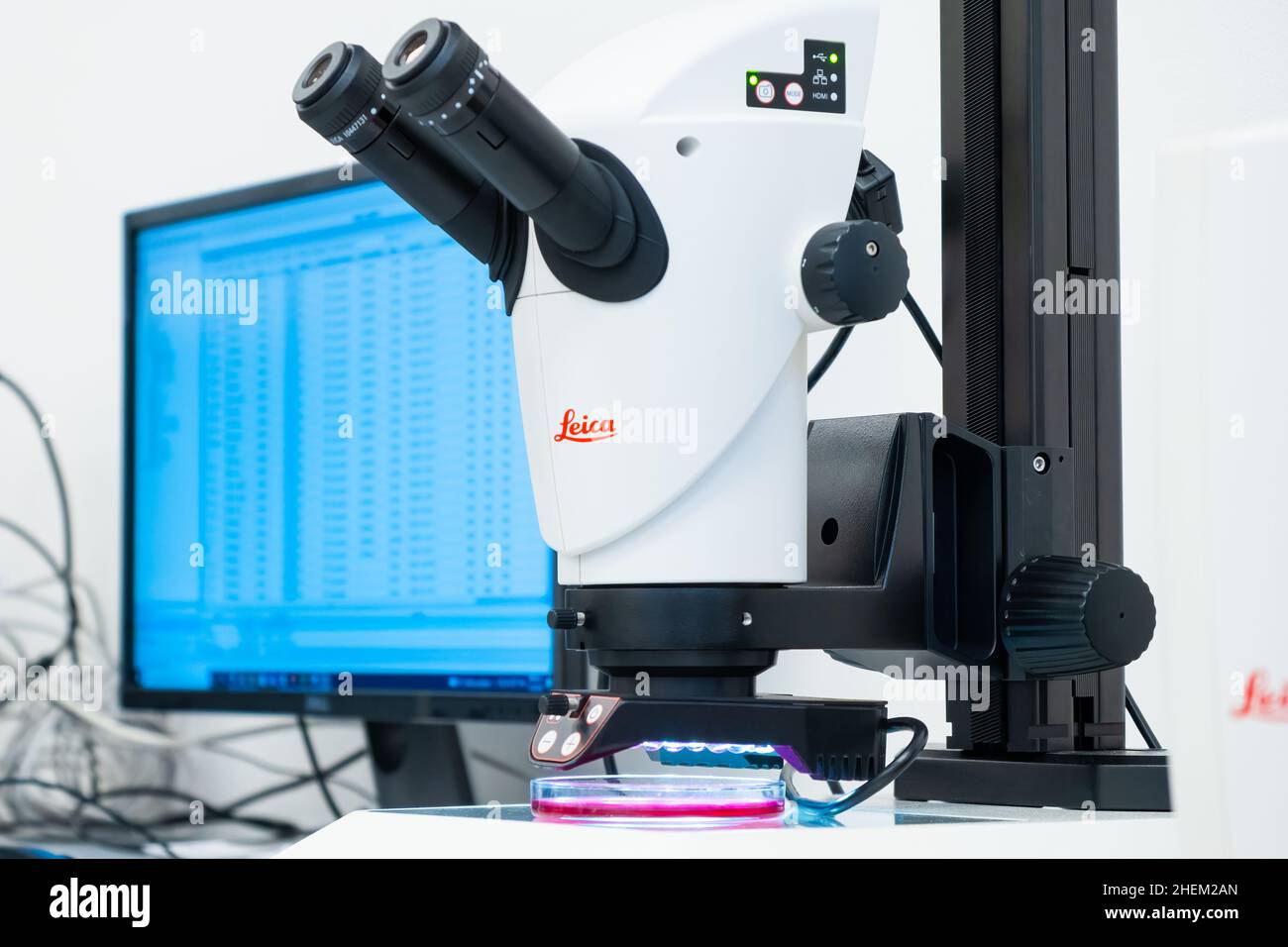 Microscopio Leica e computer per l'analisi del DNA o piccoli oggetti e cellule. Analisi microbiologica o clinica, gennaio 2022, Praga, Repubblica Ceca. Foto Stock