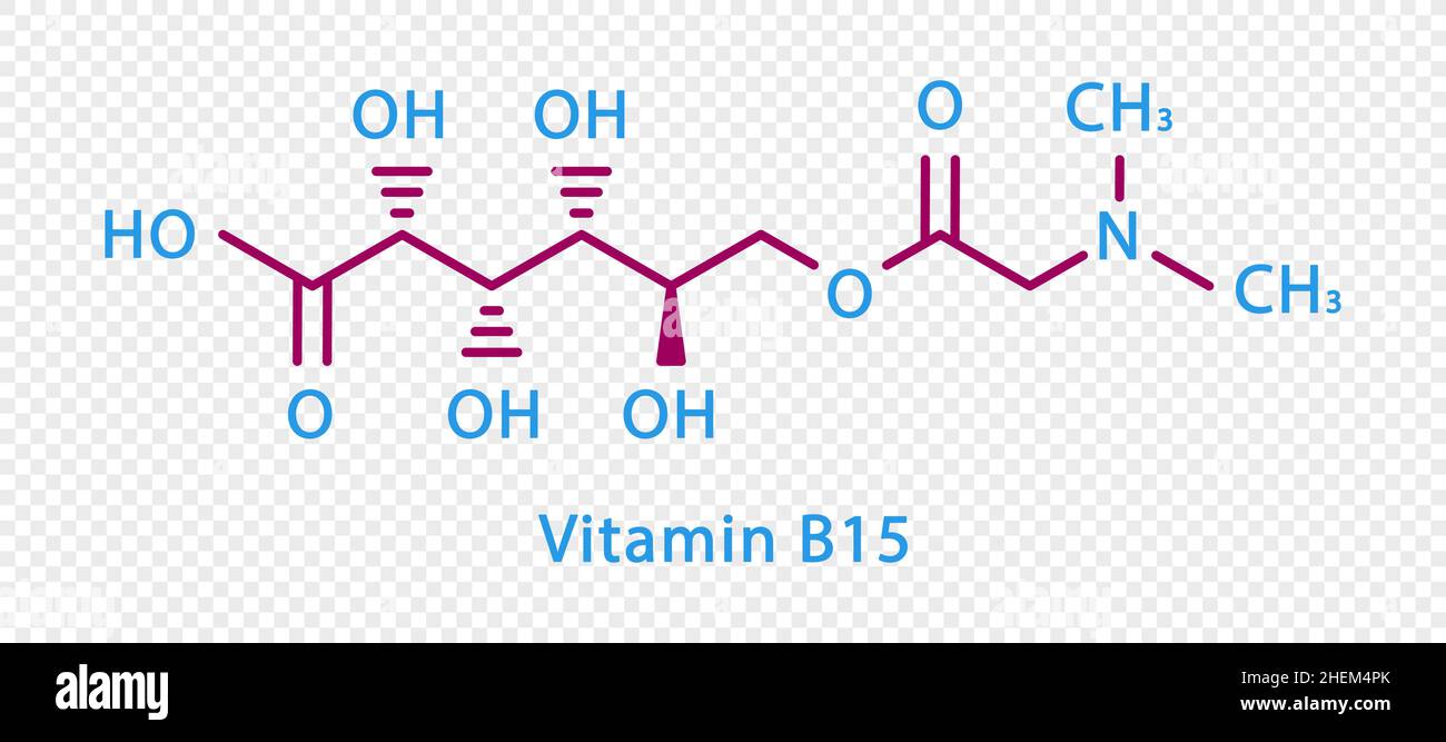 Vitamina B15 formula chimica. Vitamina B15 formula chimica strutturale isolata su sfondo trasparente. Illustrazione Vettoriale