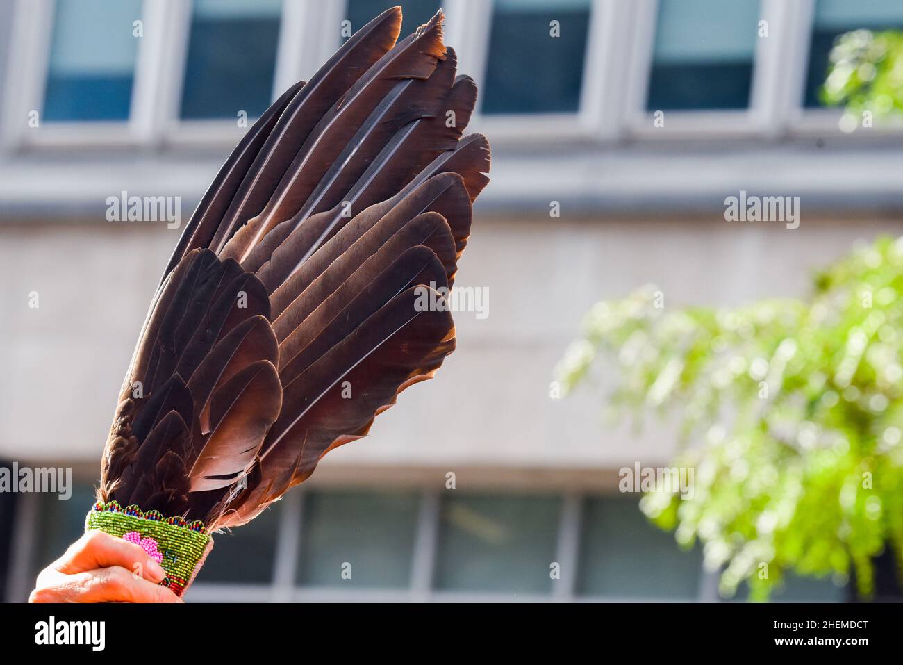Piume native sollevate su una strada, Montreal, Canada Foto Stock