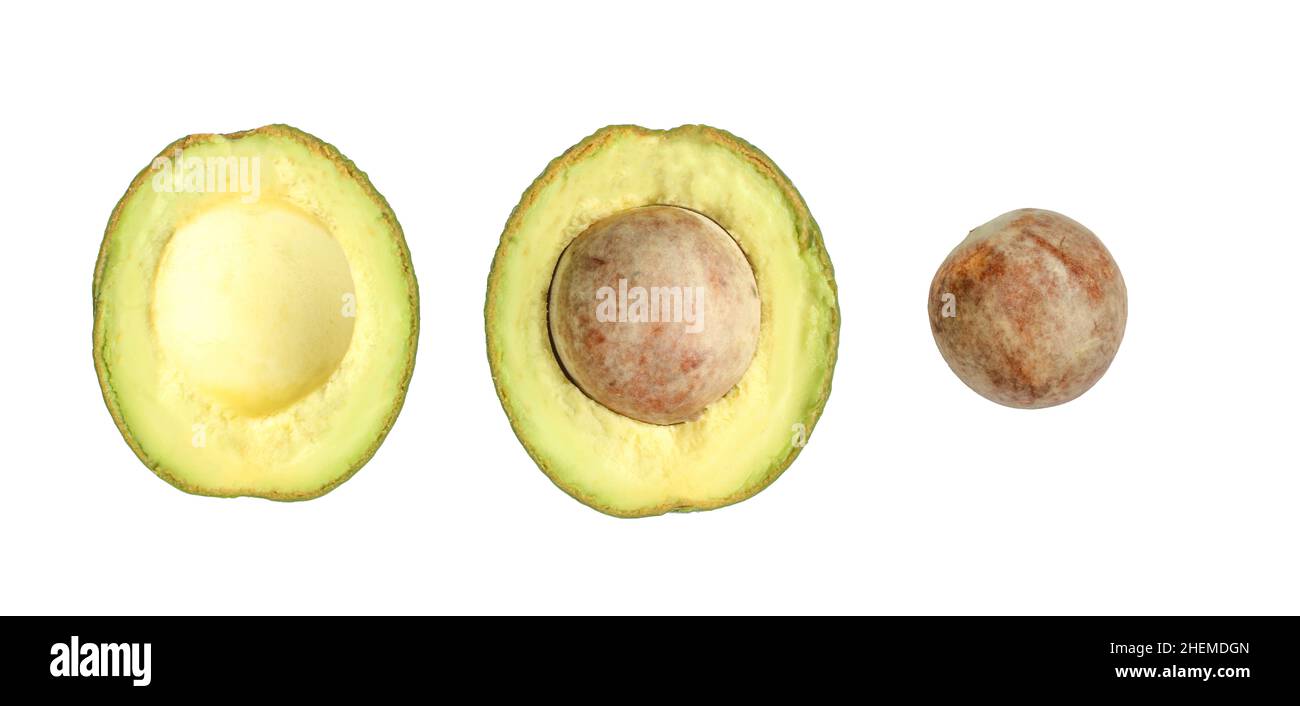 Parti di avocado isolato su sfondo bianco. Frutta esotica a fette Foto Stock