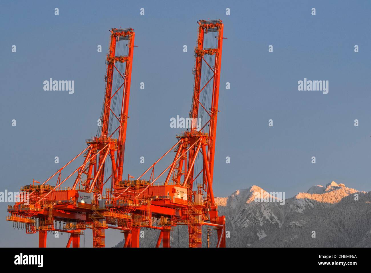 Gru, porto di Vancouver, CenterM Container Terminal, Vancouver, British Columbia, Canada Foto Stock