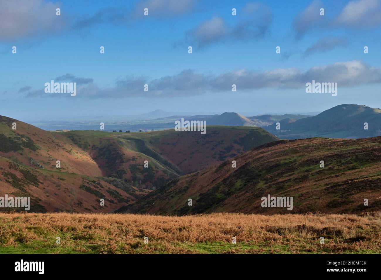 Bodbury Ring, Carding Mill Valley, Lawley e Wrekin visto dal Burway sul Long Mynd, Church Stretton, Shropshire Foto Stock