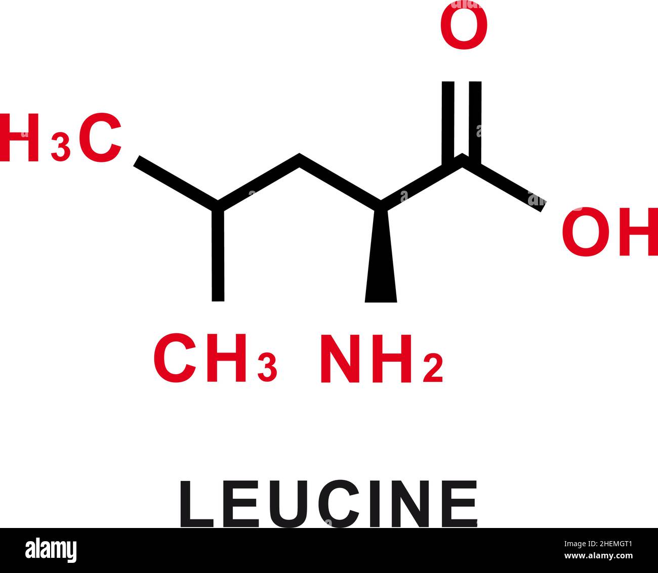 Formula chimica della leucina. Struttura molecolare chimica della leucina. Illustrazione vettoriale Illustrazione Vettoriale