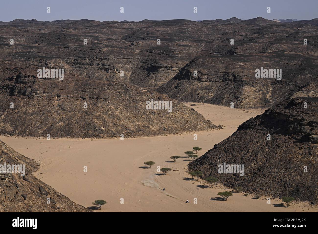 Illustrazione durante la tappa 9 del Dakar Rally 2022 intorno a Wadi ad Dawasir, il 11th 2022 gennaio a Wadi ad Dawasir, Arabia Saudita - Foto: Eric Vargiolu/DPPI/LiveMedia Foto Stock