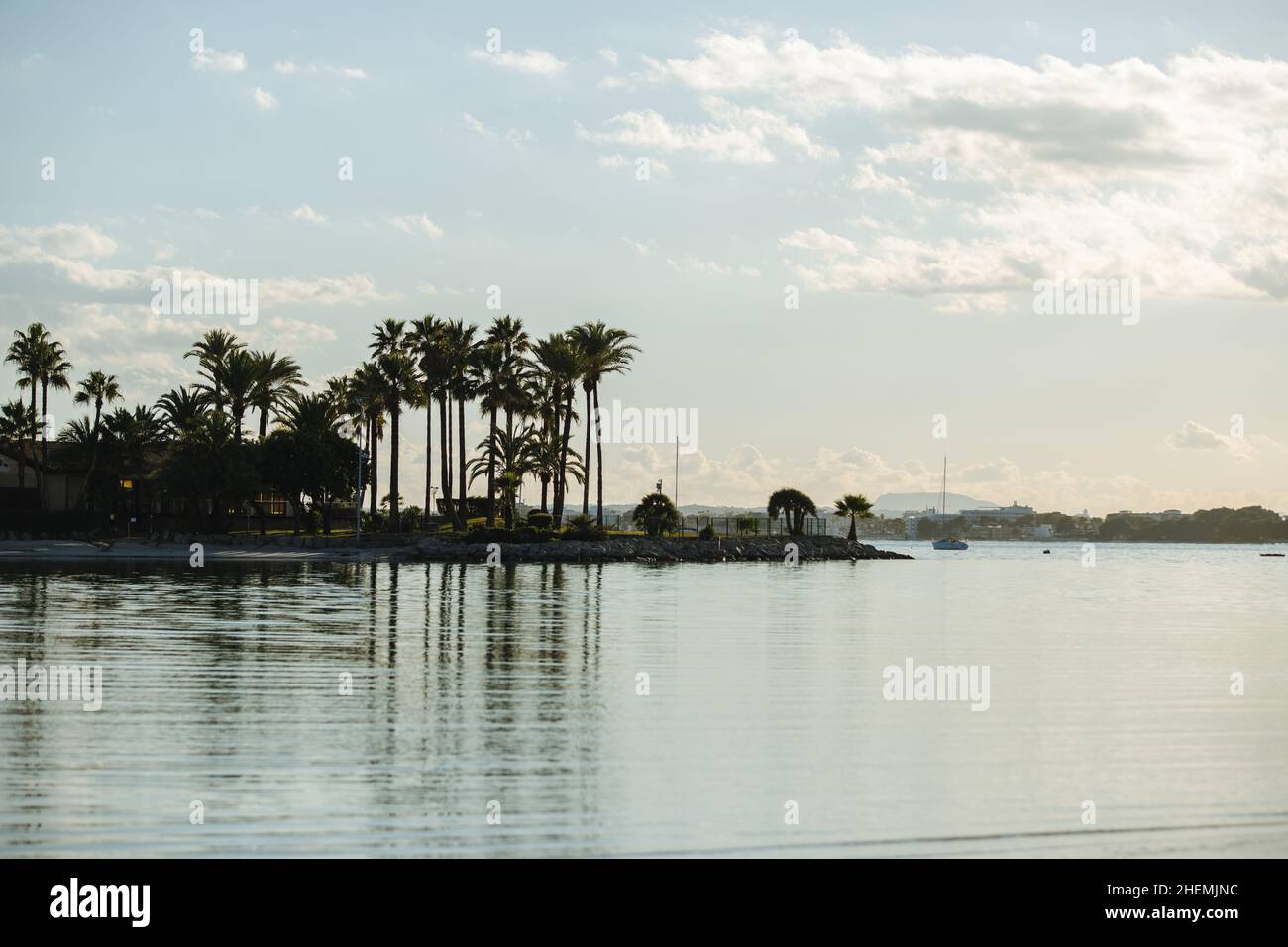 Palme riflesse nell'acqua Foto Stock