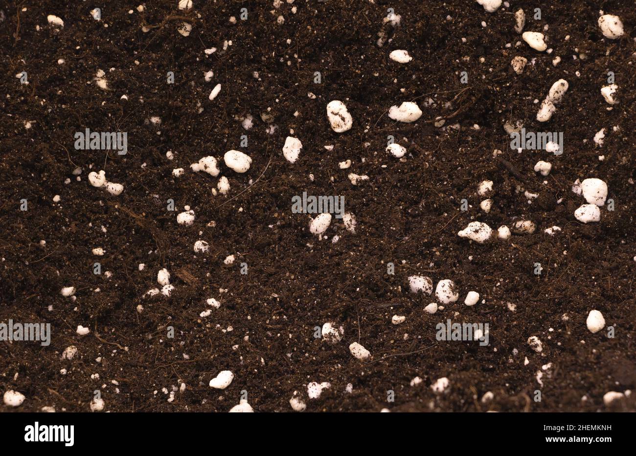 Terreno di potting mescolato con perlite buon per concetto di piante interne Foto Stock