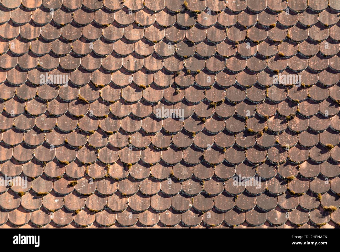 le vecchie mattonelle rosse sul tetto danno uno sfondo armonico Foto Stock