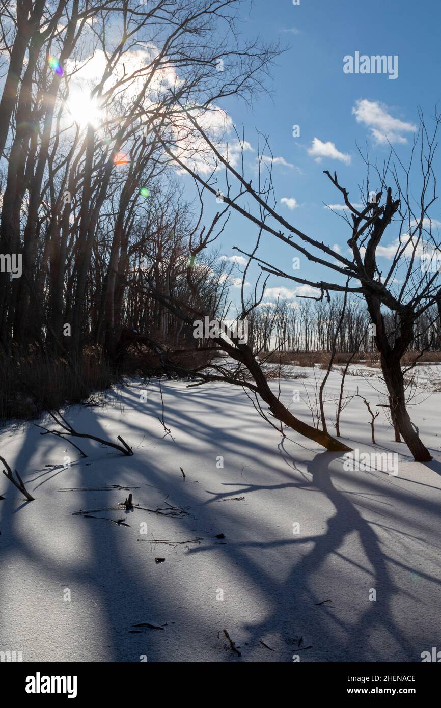 Harrison Twp., Michigan - Ombre sulla neve al Lake St. Clair Metropark. Foto Stock