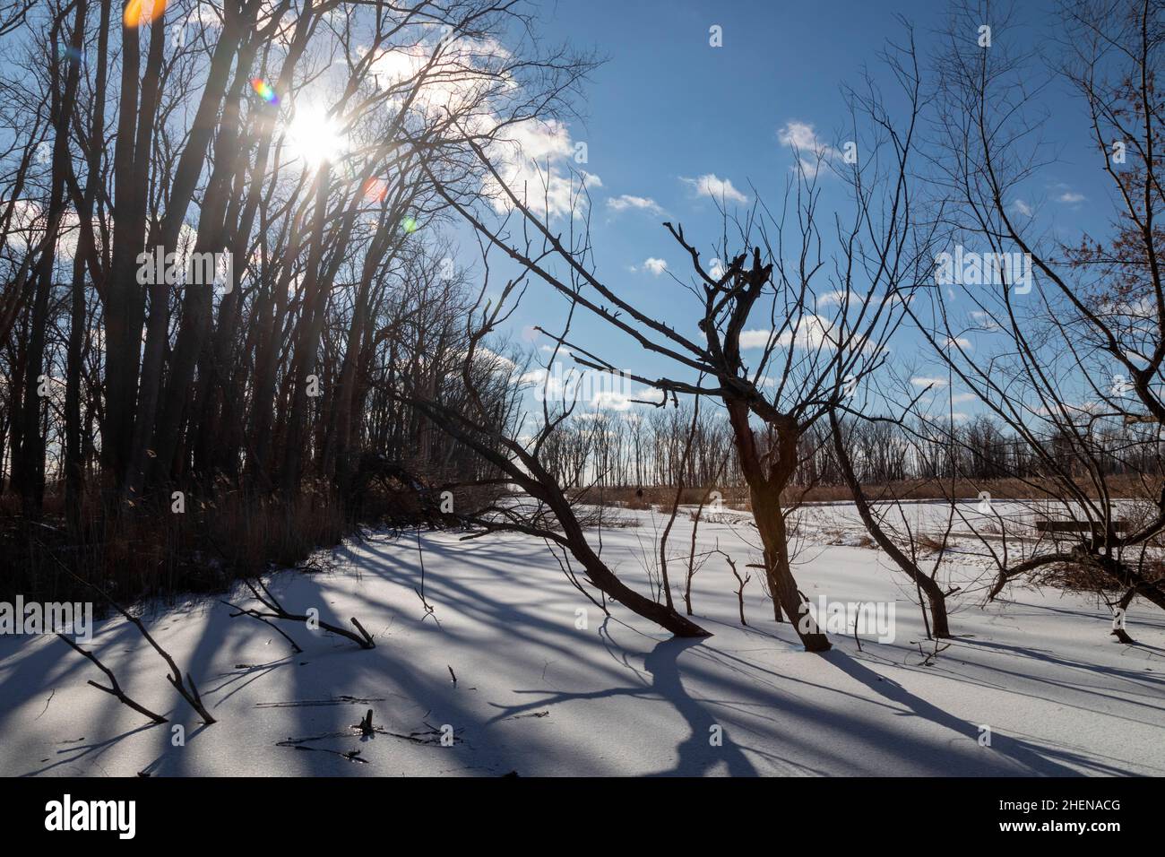 Harrison Twp., Michigan - Ombre sulla neve al Lake St. Clair Metropark. Foto Stock