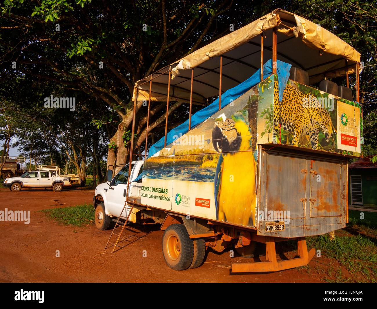 Safari Truck è stato utilizzato per giocare di giorno e di notte nel Parco Nazionale EMAS, Goiás, Brasile Foto Stock