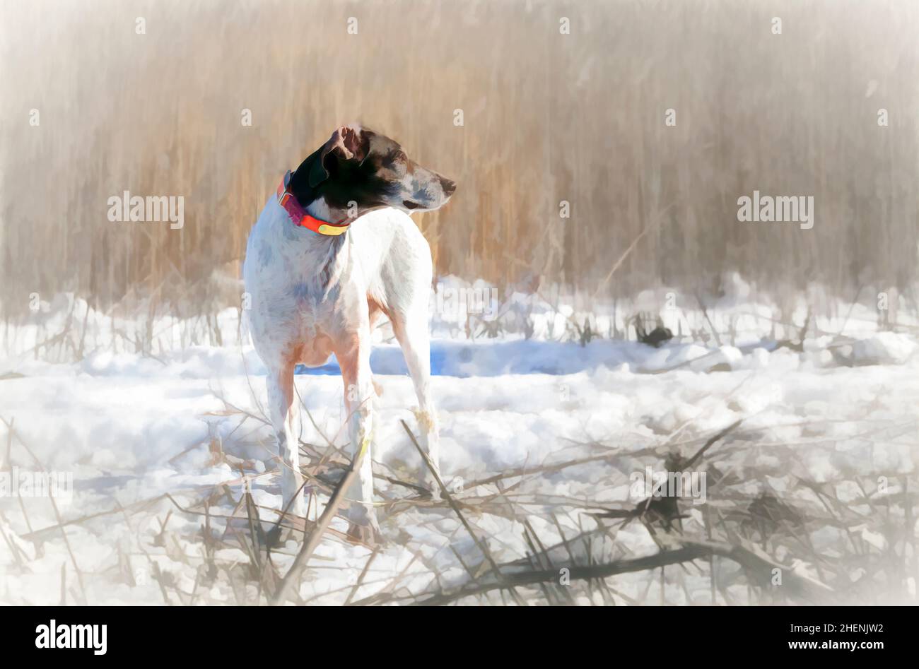 interpretazione artistica di foto di cane nei boschi Foto Stock