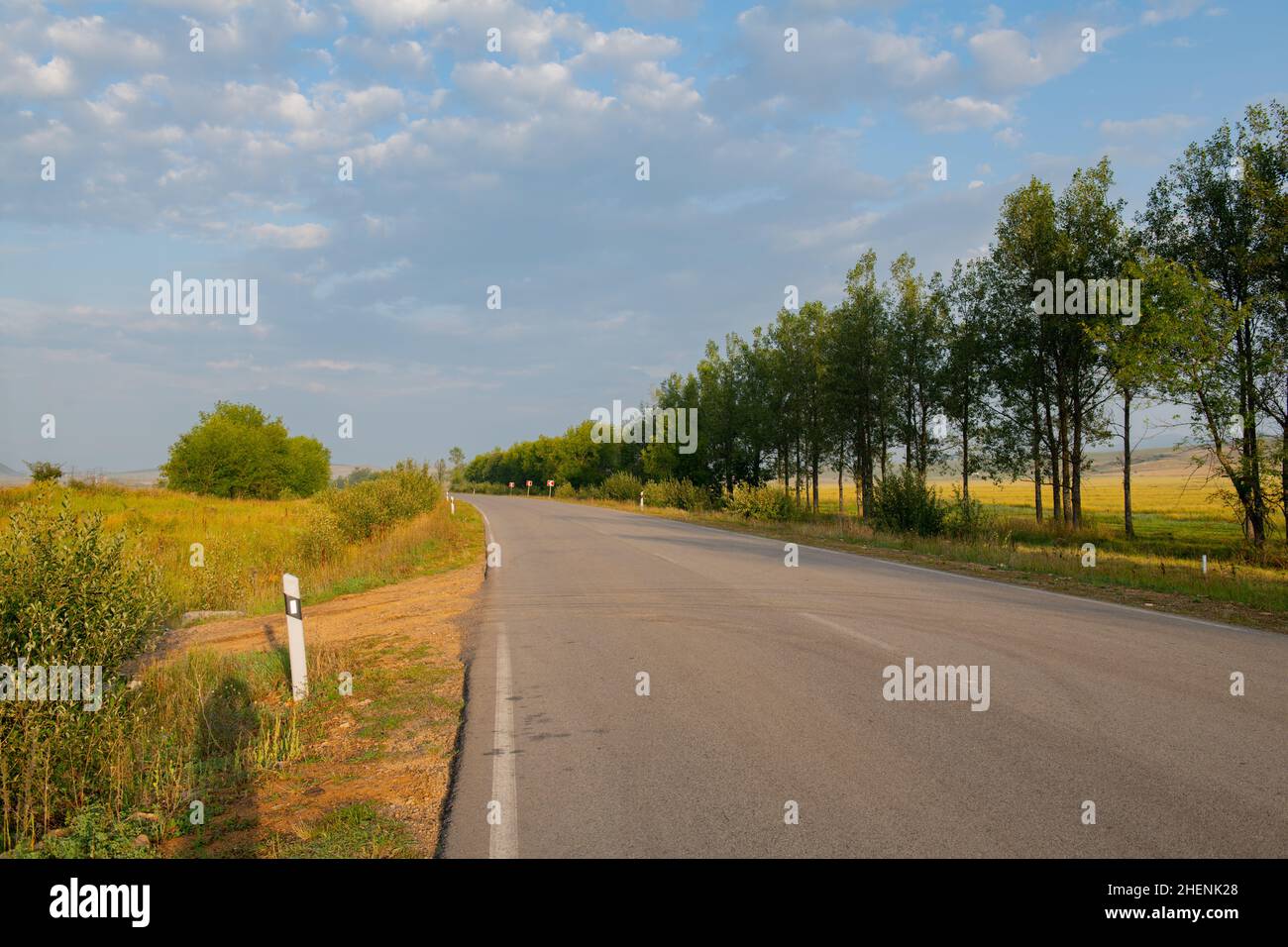 una strada sterrata a due corsie attraversa i campi Foto Stock