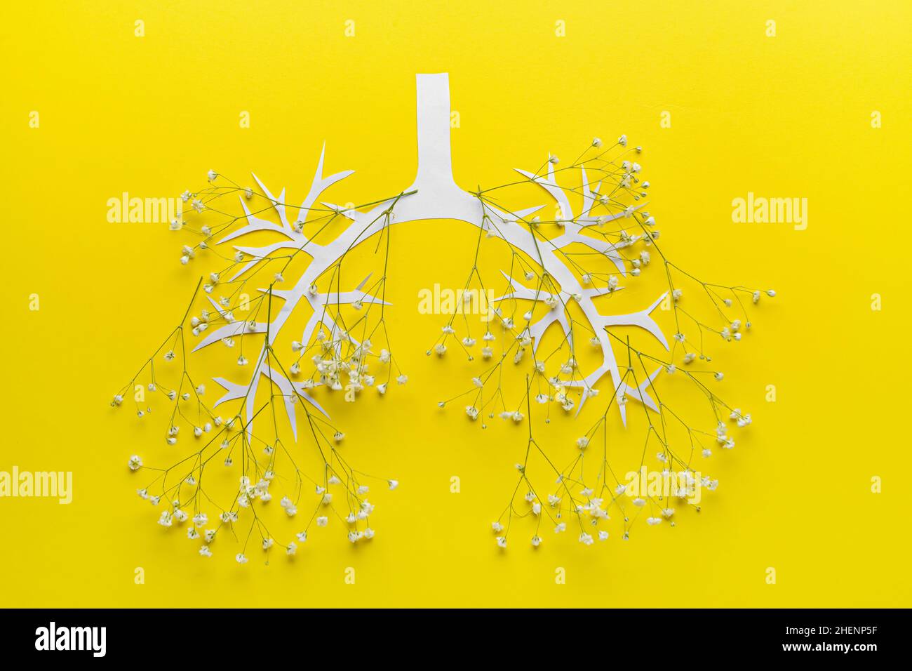 Polmoni umani fatti di fiori su sfondo colorato Foto Stock