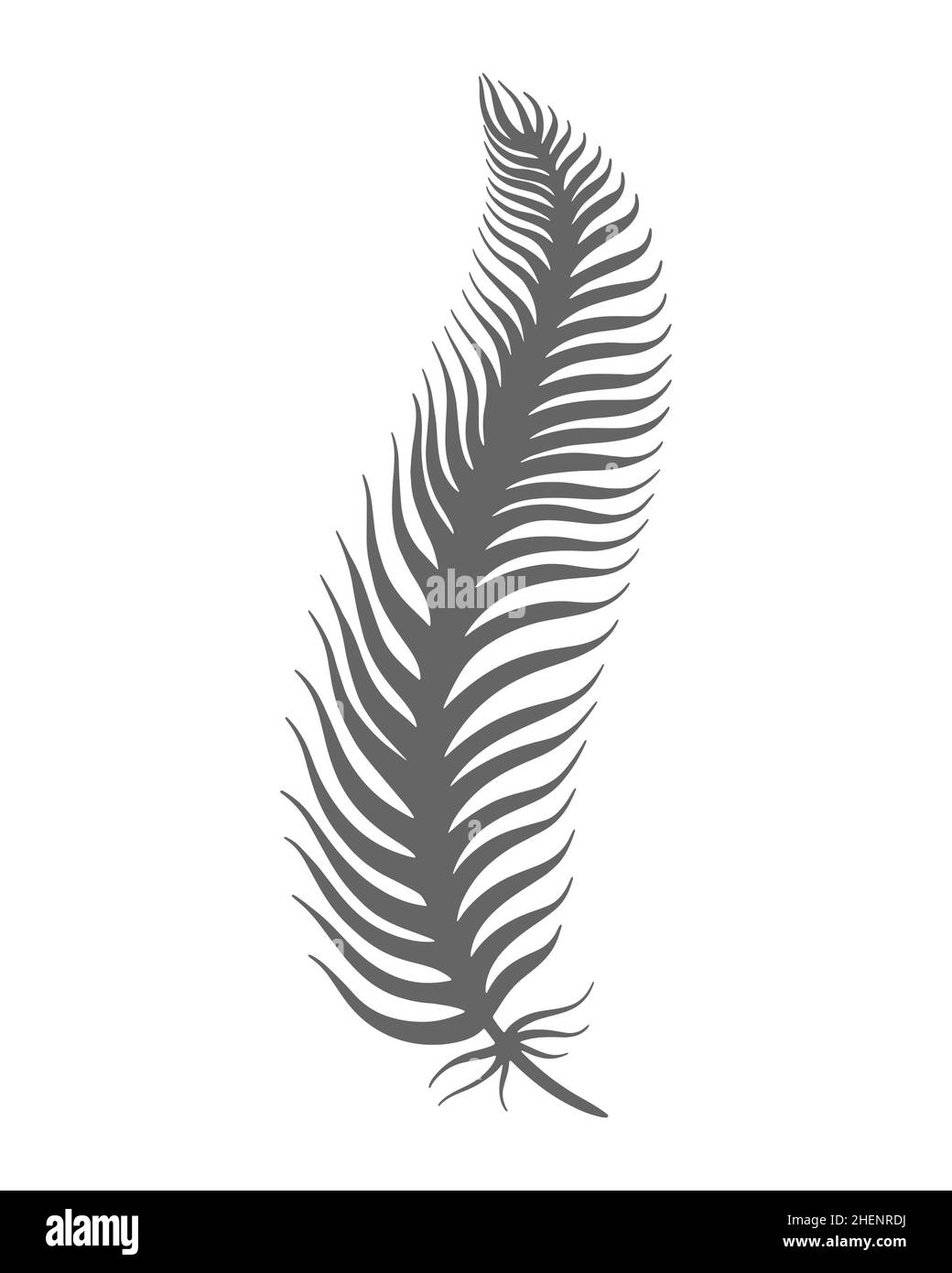 Immagine isolata con vettore inciso a mano in piuma d'uccello Illustrazione Vettoriale