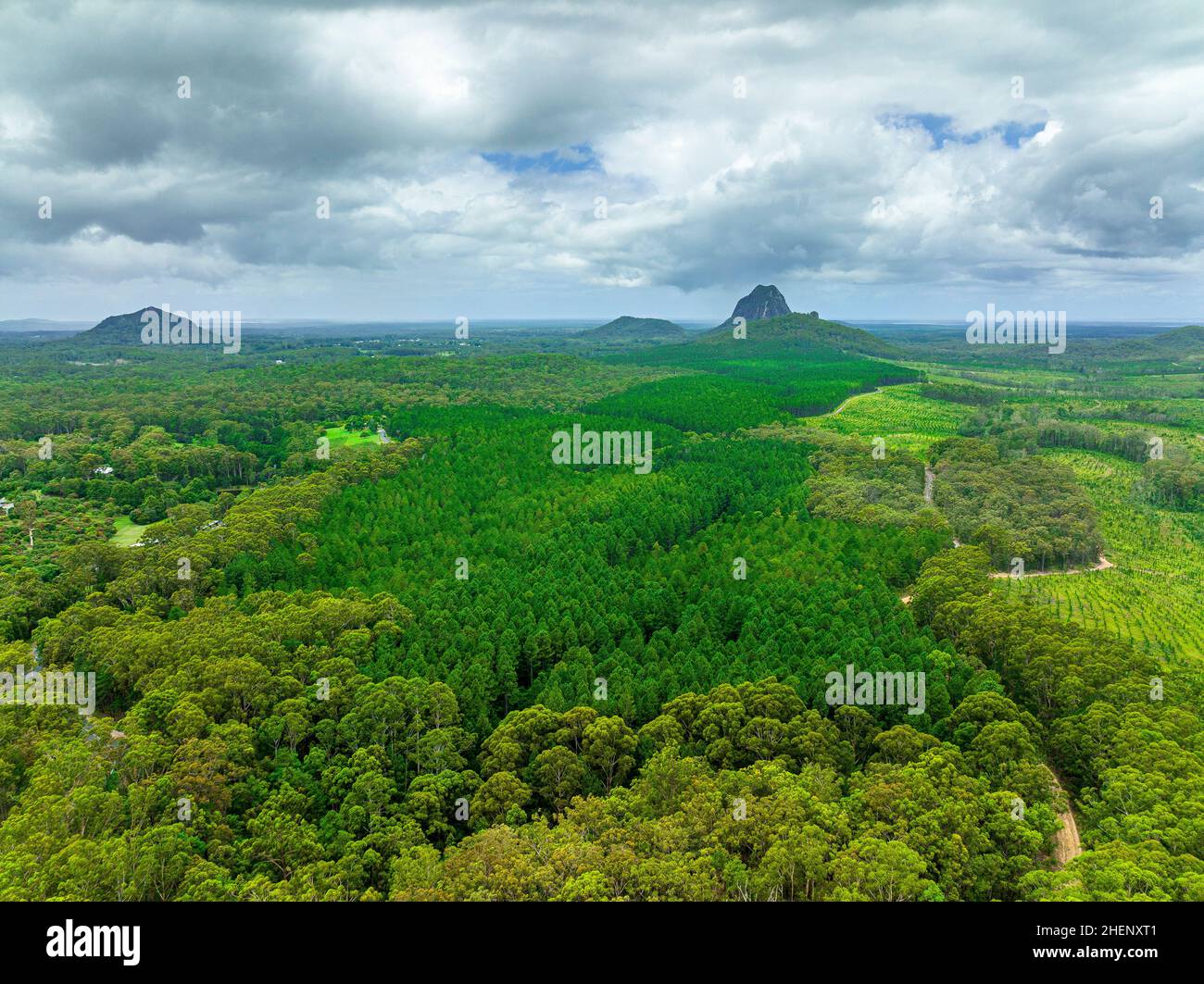 Vista aerea delle Glass House Mountains nella Sunshine Coast. Beerwah, Queensland, Australia Foto Stock