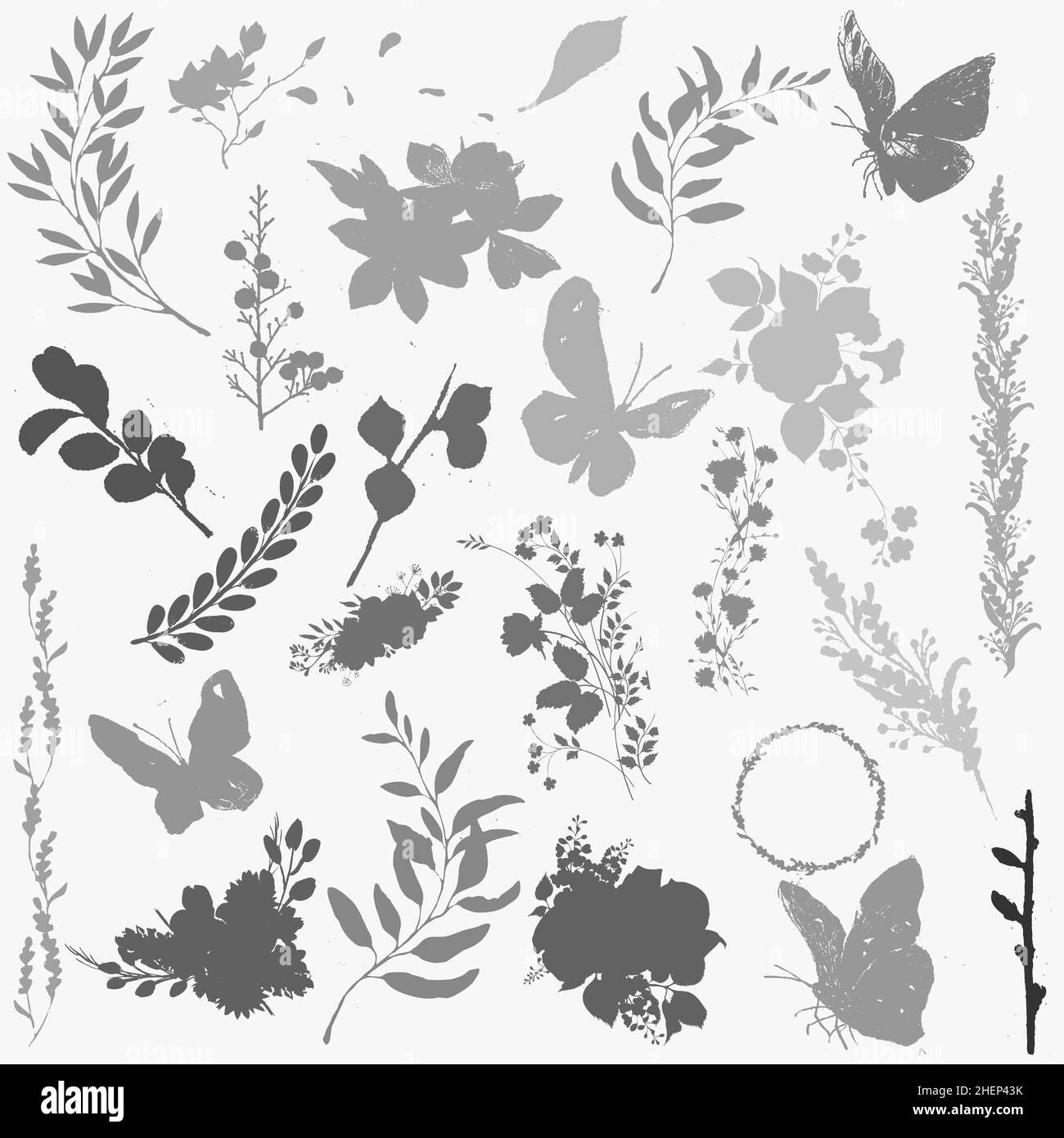 stencil di fiori, farfalle e rami su isolato bianco Foto Stock