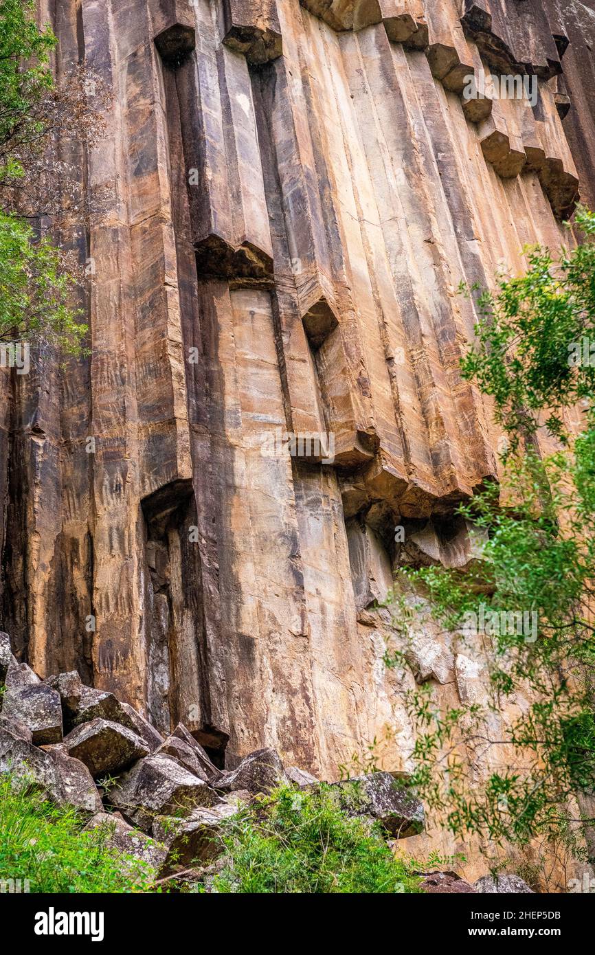 Le rocce segate sono una parete torreggiante di pipe pentagonali di basalto. Un iconico ricordo del passato vulcanico di Kaputar, situato nel Parco Nazionale del Monte Kaputar. Foto Stock