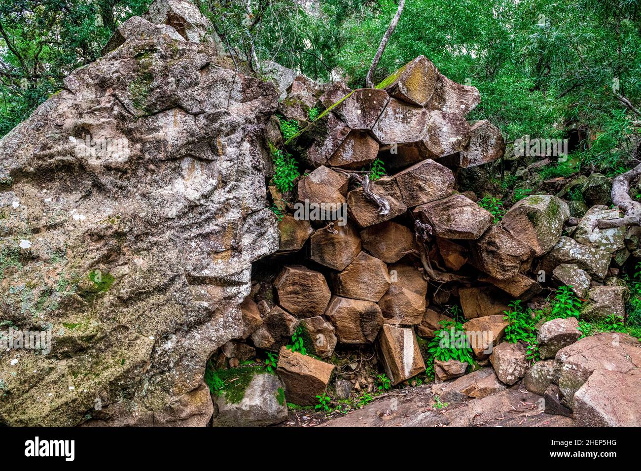 Le rocce segate sono una parete torreggiante di pipe pentagonali di basalto. Un iconico ricordo del passato vulcanico di Kaputar, situato nel Parco Nazionale del Monte Kaputar. Foto Stock