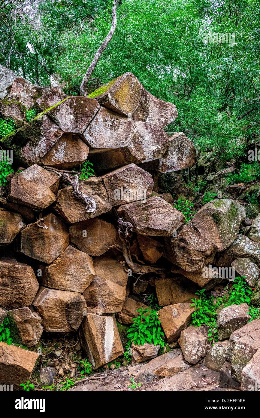 Le rocce segate sono una parete torreggiante di pipe pentagonali di basalto. Un iconico ricordo del passato vulcanico di Kaputar, situato nel Parco Nazionale del Monte Kaputar. Foto Stock