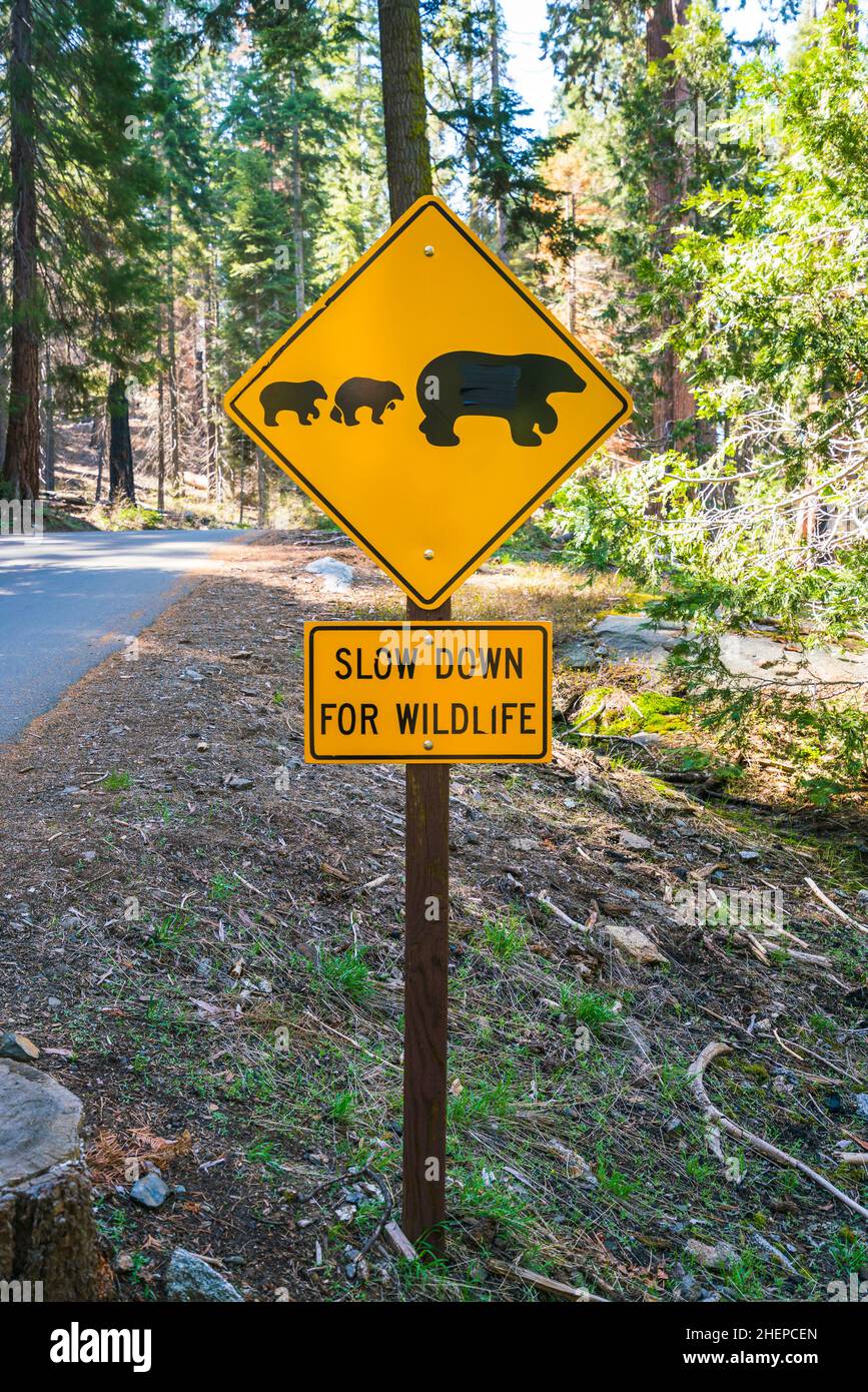 tenere il cartello sulla strada nel parco nazionale. Foto Stock