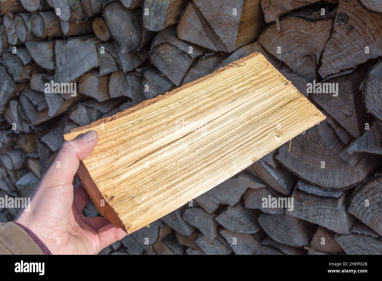 Il ceppo è accatastato e immagazzinato così l'umidità può asciugare fuori del legno Foto Stock