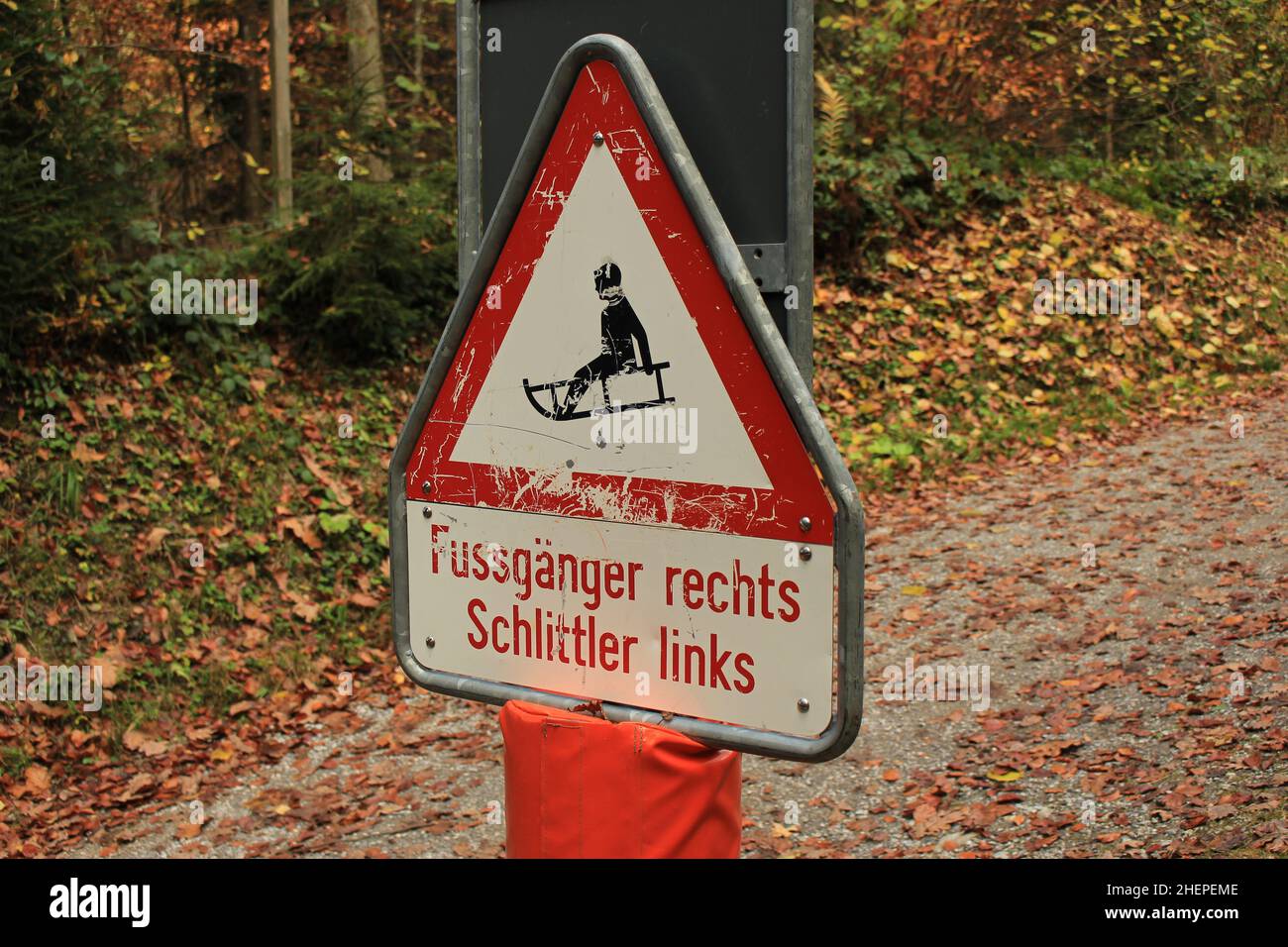 ZURIGO, SVIZZERA - 6 NOVEMBRE 2021: Cartello sul monte Uetliberg per slittino con fogliame autunnale e senza neve alle sue spalle. Foto Stock