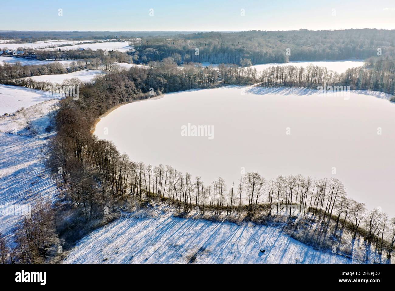Paesaggio culturale innevato con pascoli e siepi e ghiacciato lago Lankau, foto drone, Germania, Schleswig-Holstein Foto Stock