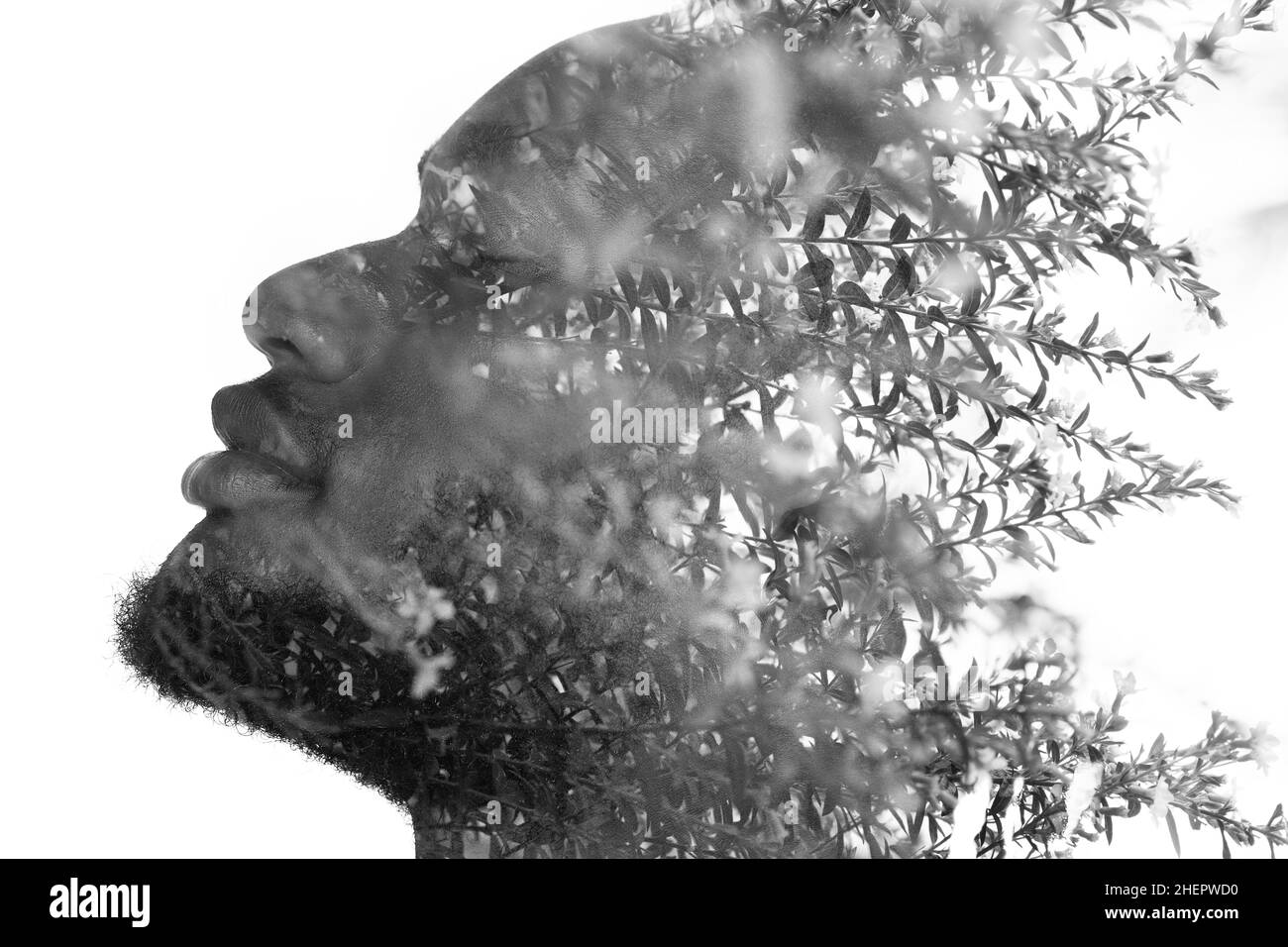 Un ritratto di un uomo che si dissolve in un'immagine di fogliame. Doppia esposizione. Foto Stock