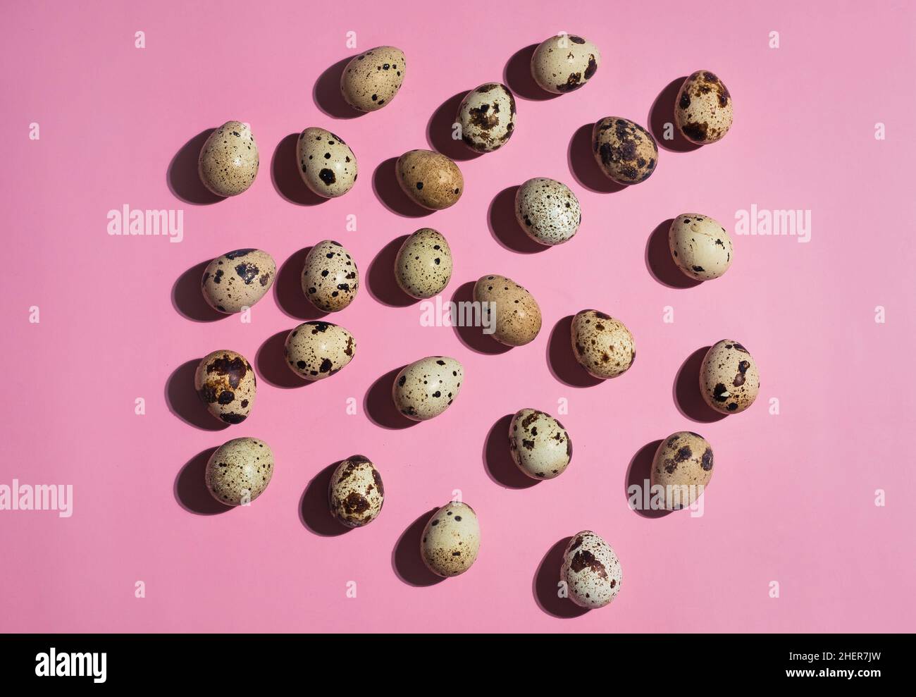 Posa piatta di un uovo di quaglia su sfondo blu Foto Stock