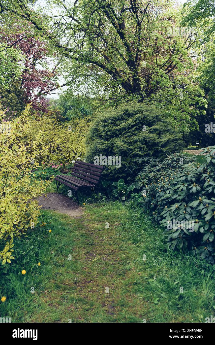 panchina nel parco primaverile con alberi verdi e cespugli nelle giornate buie Foto Stock